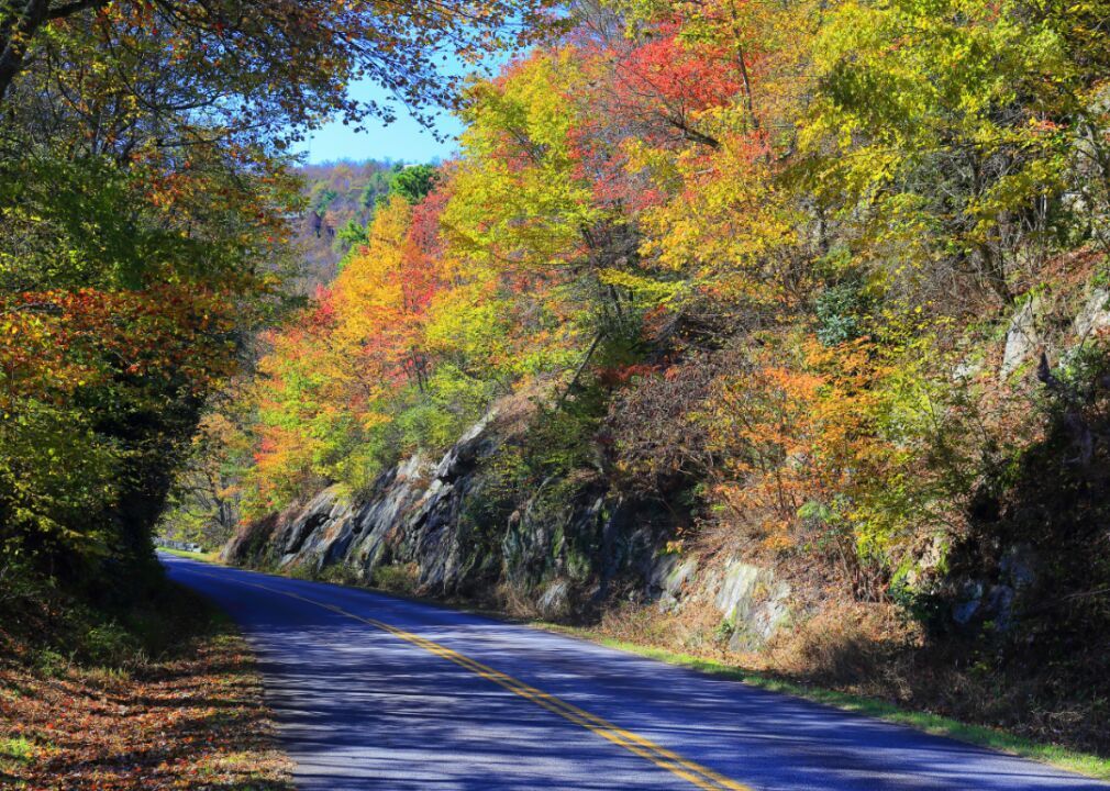 #48. Alleghany County
